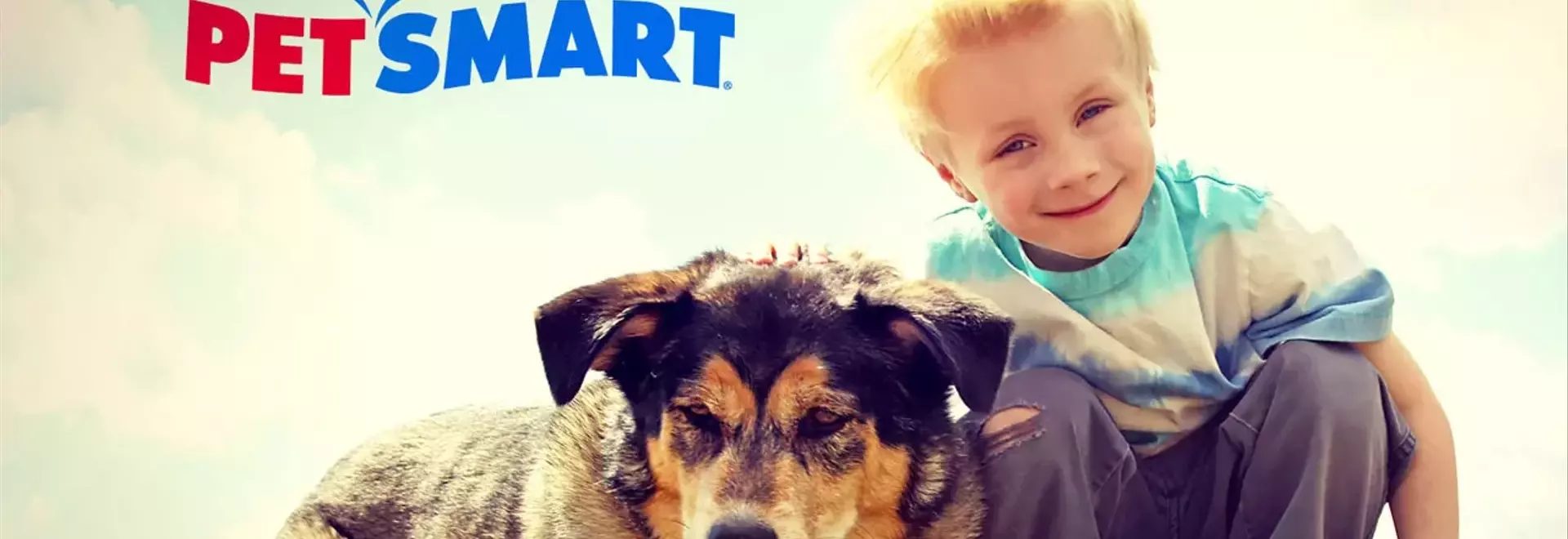 The PetSmart Promise: Diverse Services and Passionate Care for Your Pets
