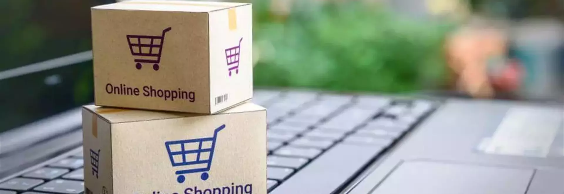 A Versatile Shopping Experience Across Platforms: How Product Variety and Pricing Differ