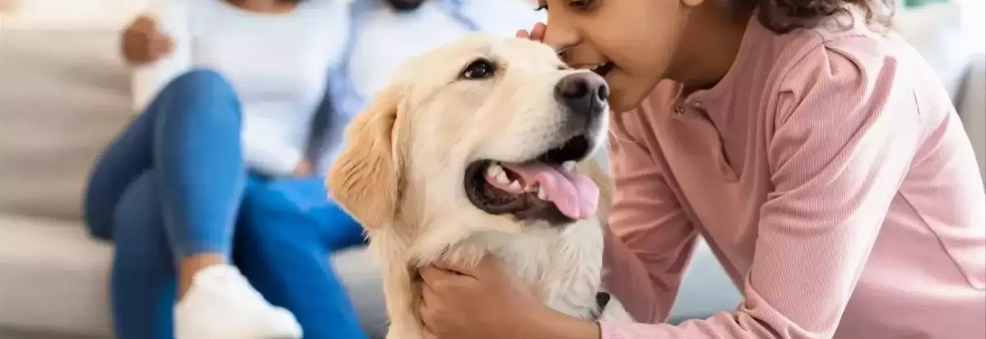 Top Picks for Dog Treats, Toys, and Hydration