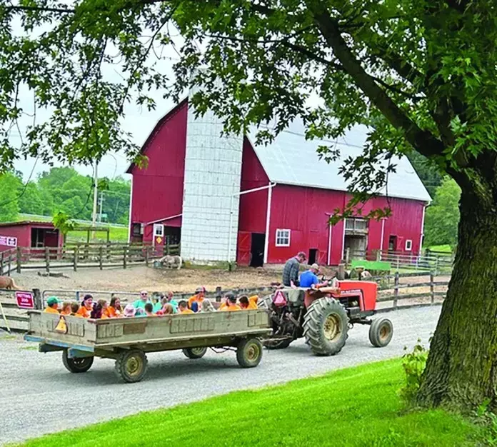 Healing Hearts: A Unique Camp for Grieving Children