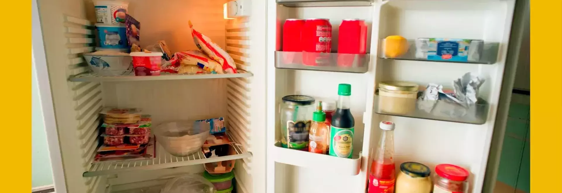 Generational Perspectives: The 'Millennial Flex' of a Garage Fridge Sparks Online Debate