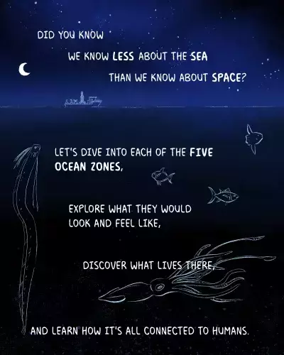 Unveiling the Ocean's Mysteries: A Deep Dive into its Ecological Zones