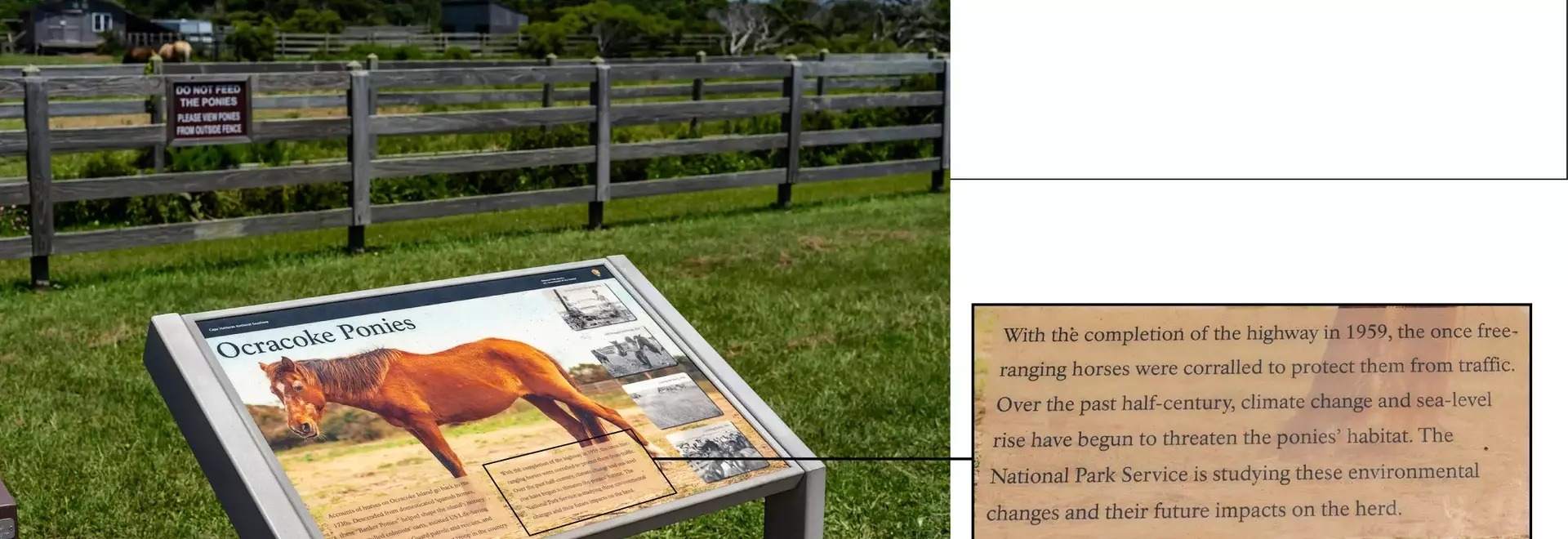 National Park Service Reviews Historical Narratives Under New Directive
