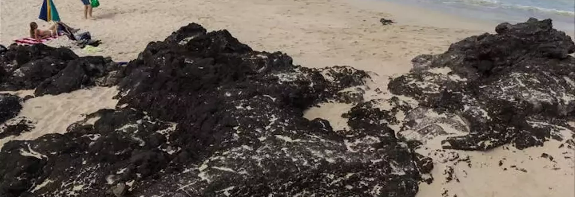 Unveiling America's Pristine Coastal Waters: A Surprising Revelation