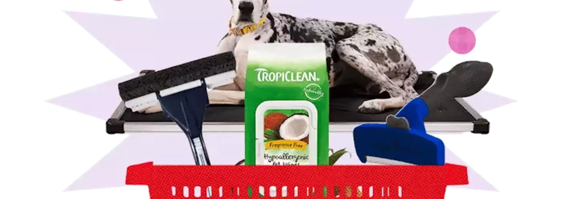 Maintain a Hair-Free Home with Pet-Friendly Products