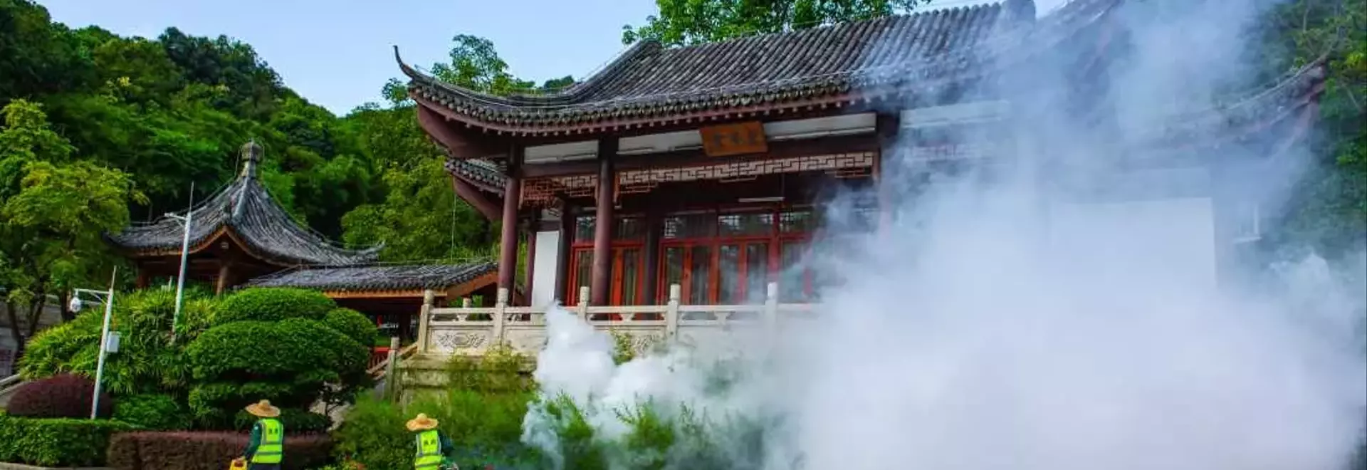 China's Aggressive Stance Against Chikungunya Outbreak: A Detailed Look