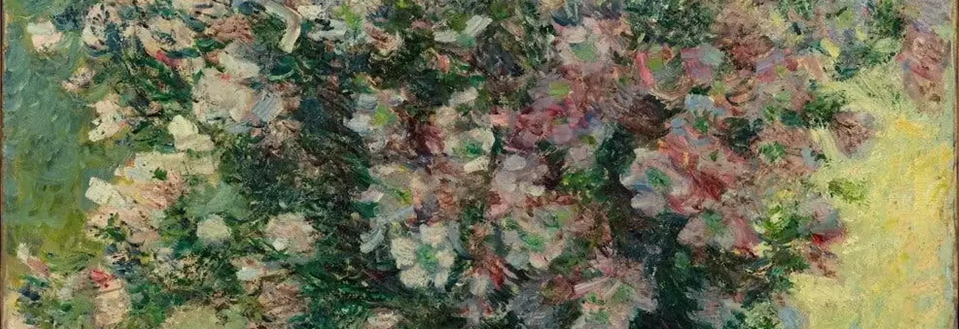 A Journey into Blurred Vision: Discovering Monet's World Through My Own Eyes
