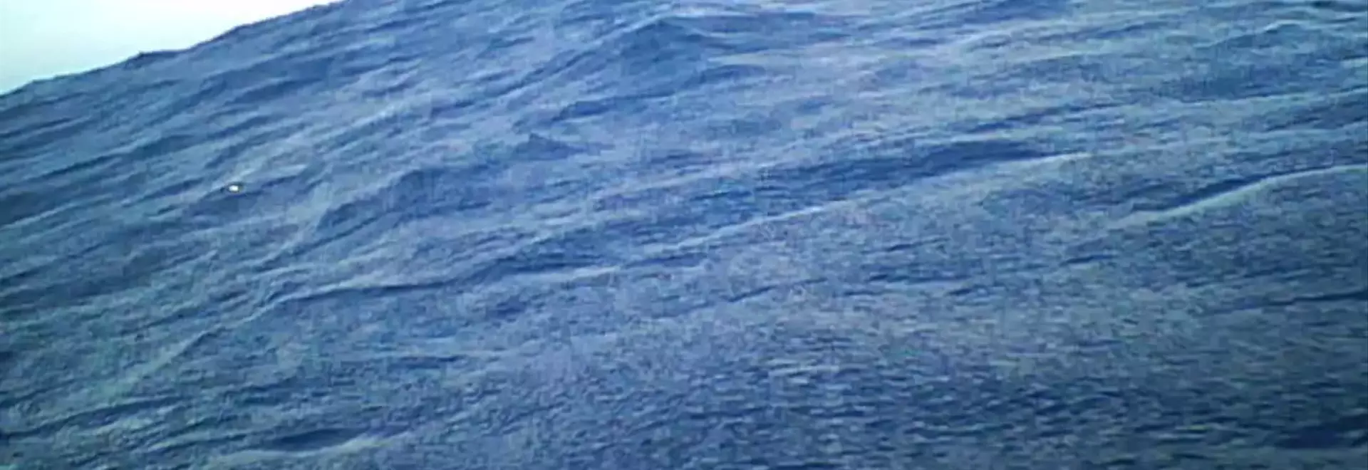 Scientists Uncover Surprising Defecation Habits of Streaked Shearwaters