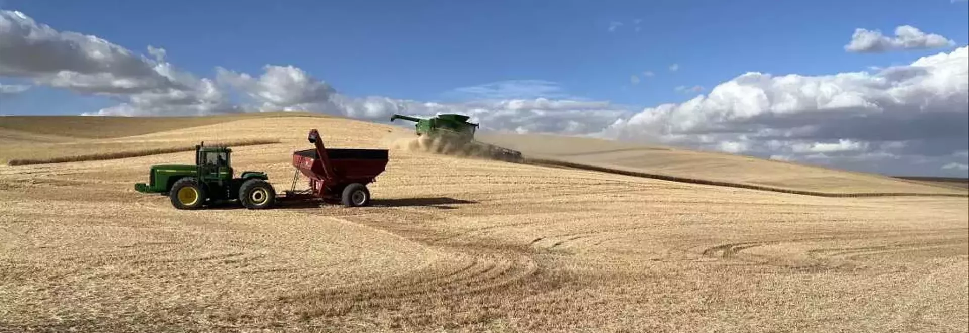 US Wheat Farmers Grapple with Trade Uncertainties Amid Tariff Landscape