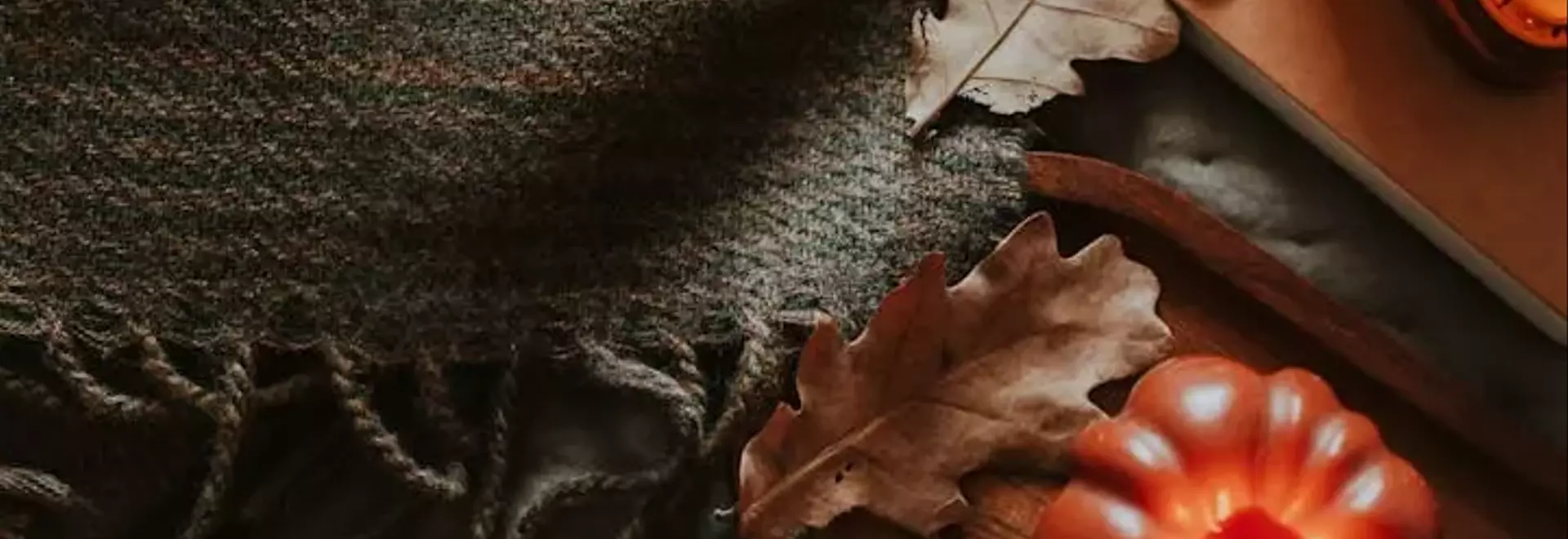 The Autumn Decor Dilemma: When Do We Embrace the Fall Spirit?