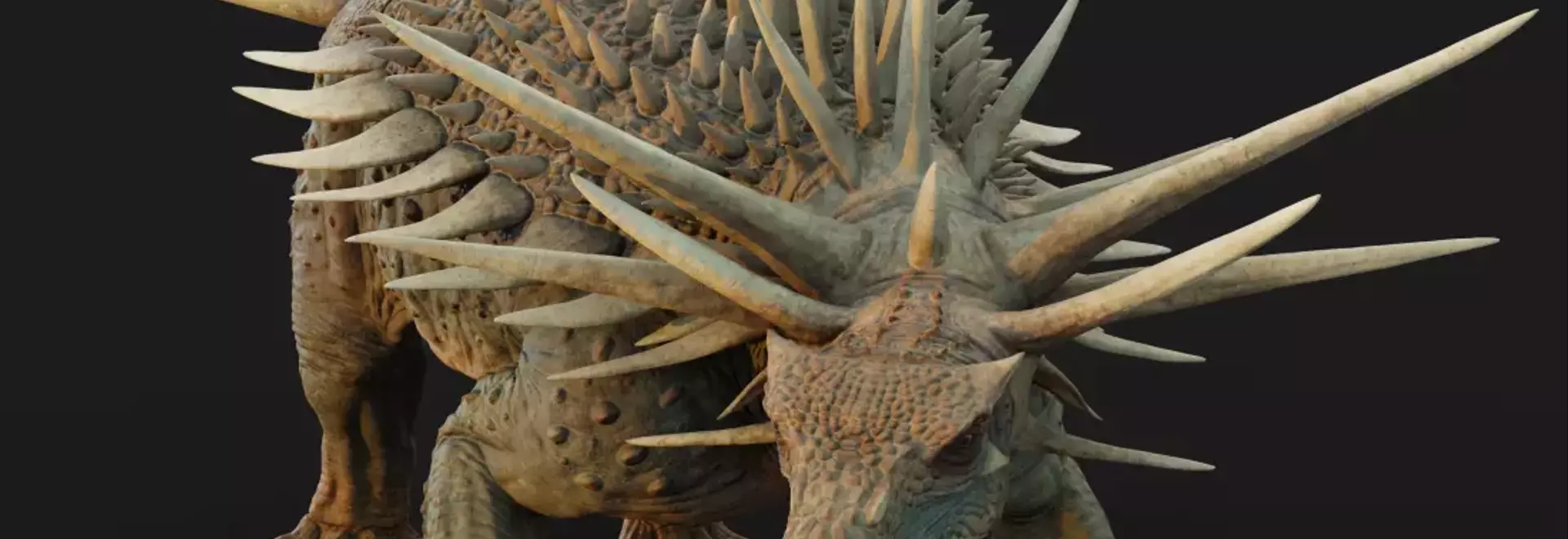 Unveiling the Spicomellus: A Spiked Enigma from Ancient Morocco