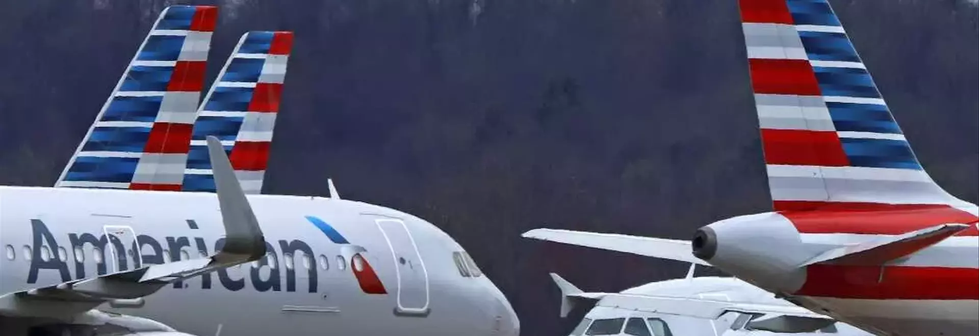 Fatal Discovery on American Airlines Flight in Charlotte