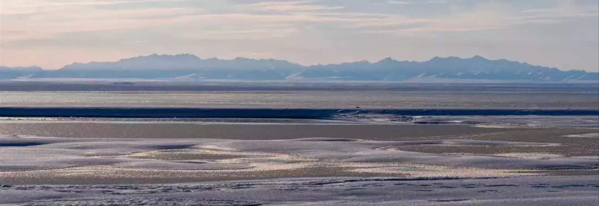 Trump Administration Greenlights Oil and Gas Drilling in Alaska's Arctic Refuge