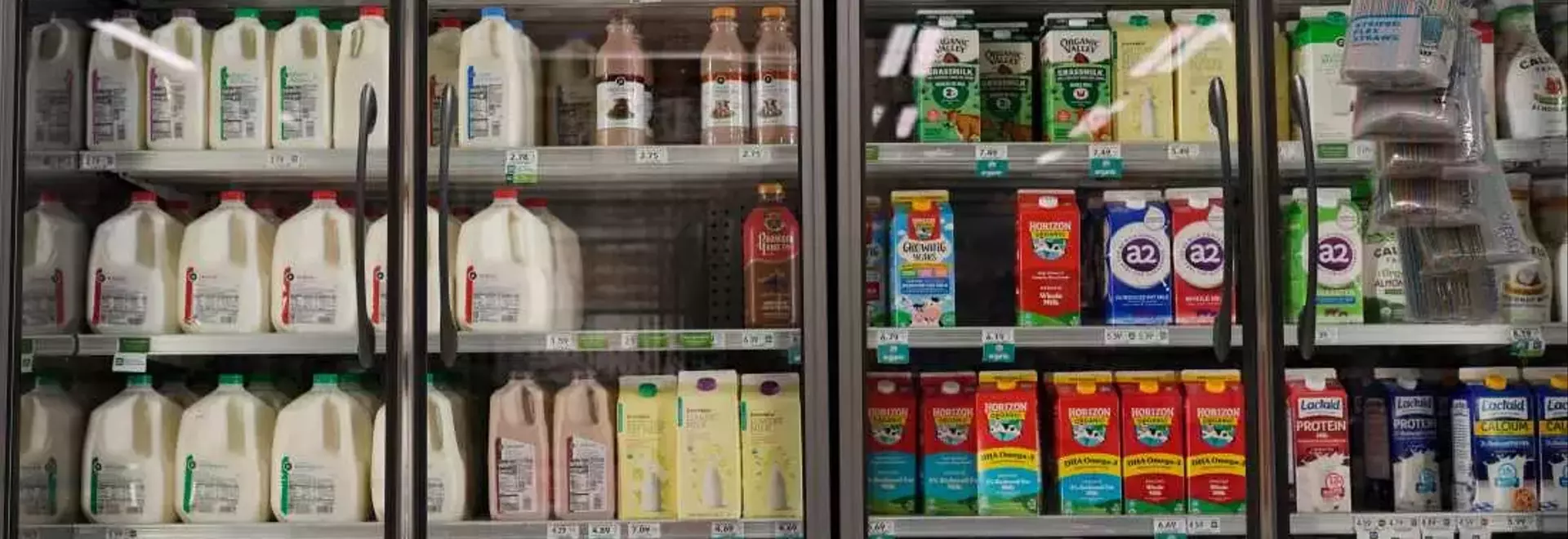 U.S. Administration Faces Crucial Decision on Food Aid Funding