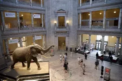 Cultural Institutions Reopen After Government Shutdown