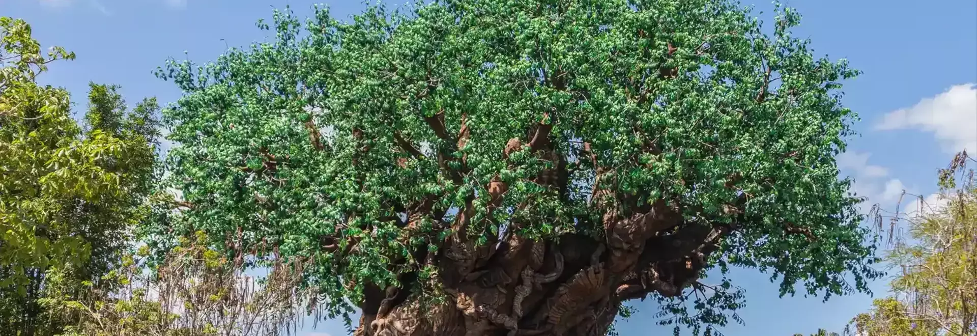 A Magical Family Journey: Discovering Unity at Disney's Animal Kingdom