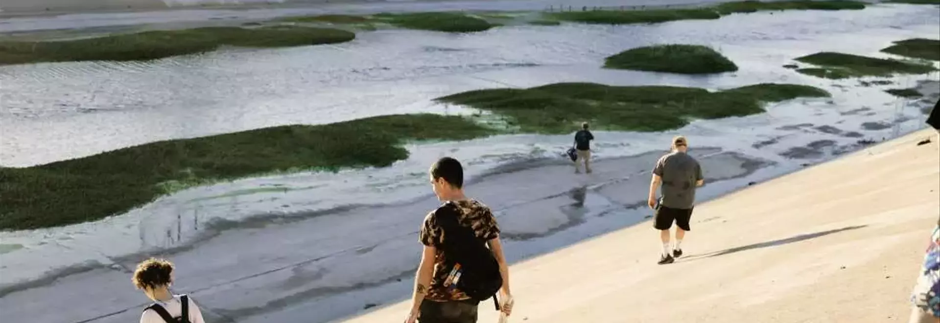 Guerrilla Gardener Creates Pop-Up Wetland in LA River