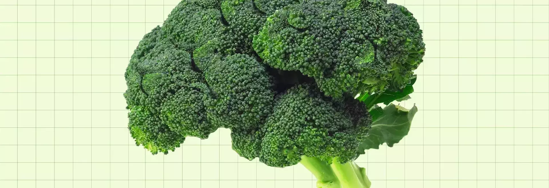 The Profound Impact of Folate Deficiency on Brain Health