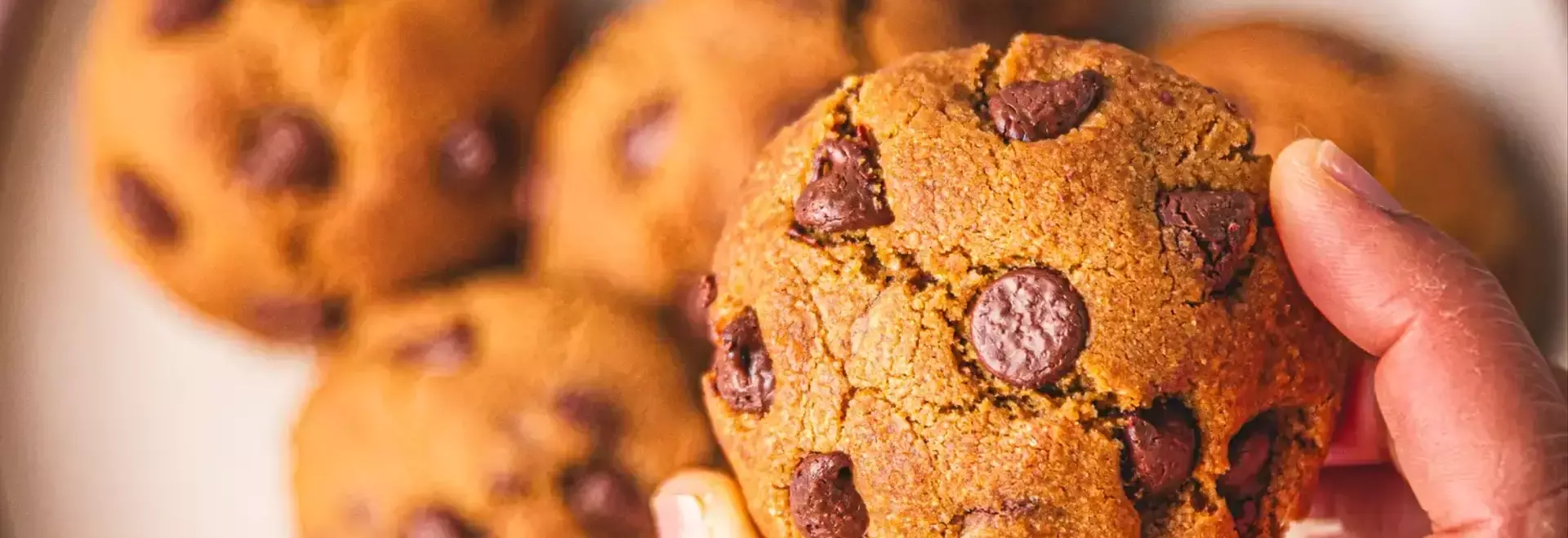 Rapid Air Fryer Chocolate Chip Cookies for Two