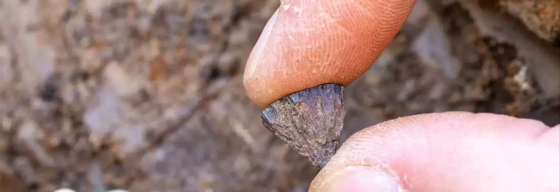 Ancient Fire-Starting: New Evidence Reshapes Human History