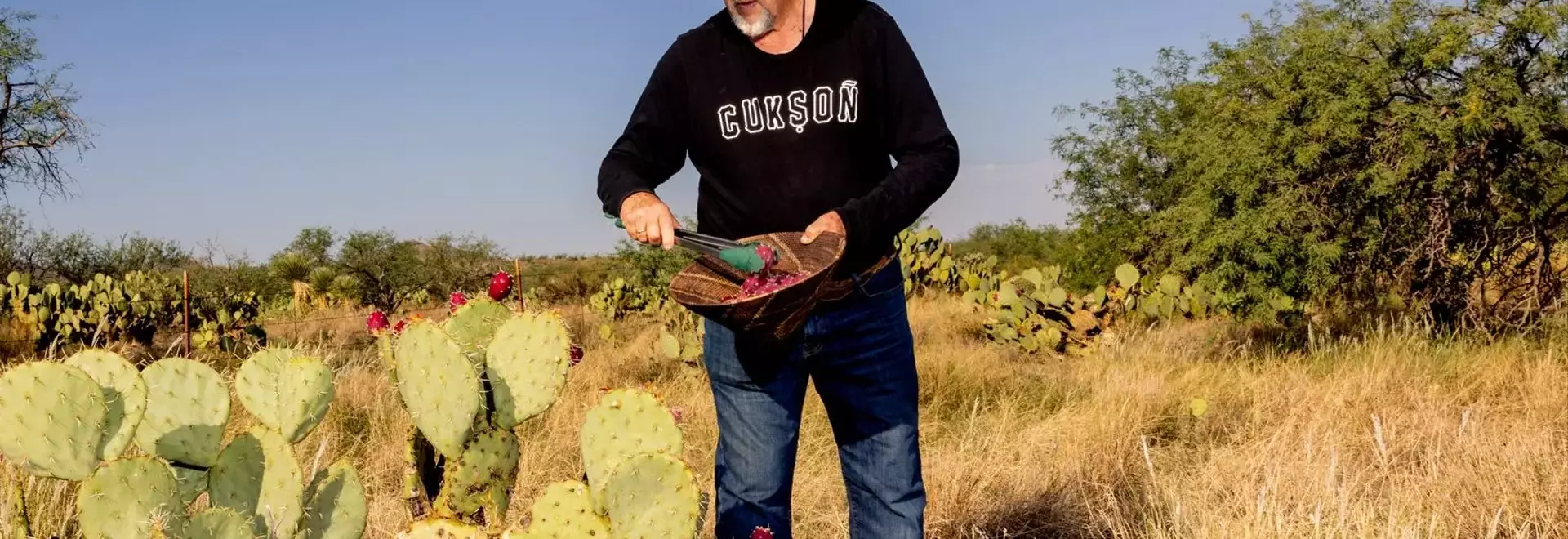 Tucson: A Culinary Journey Through the Sonoran Desert