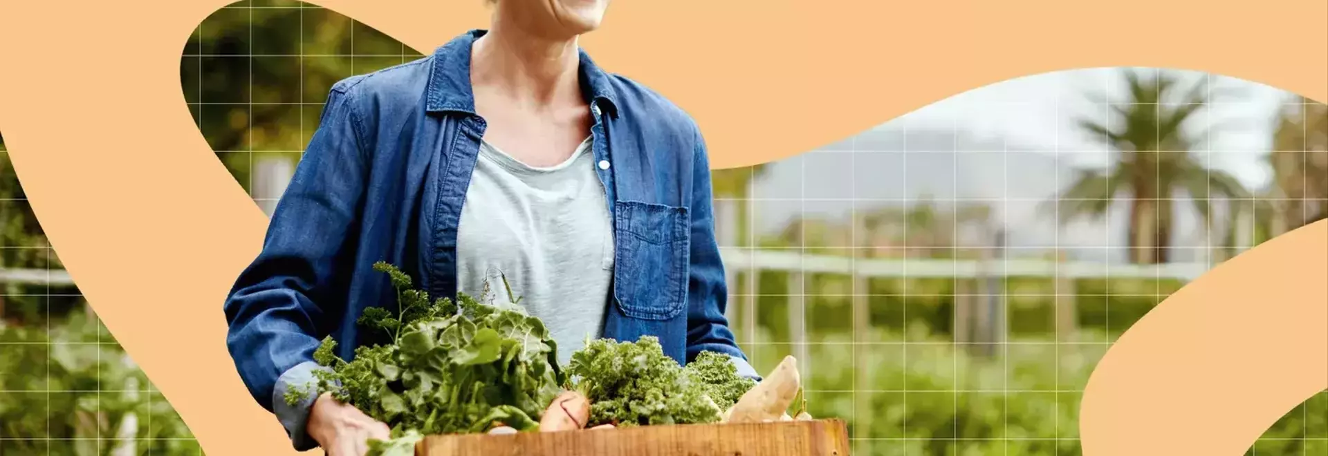 Broccoli's Brain Benefits and Optimal Storage Methods