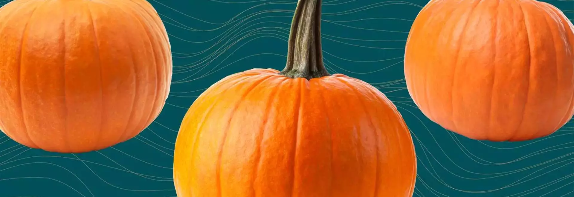 The Comprehensive Guide to Pumpkin: Health Benefits, Nutrition, and Culinary Uses