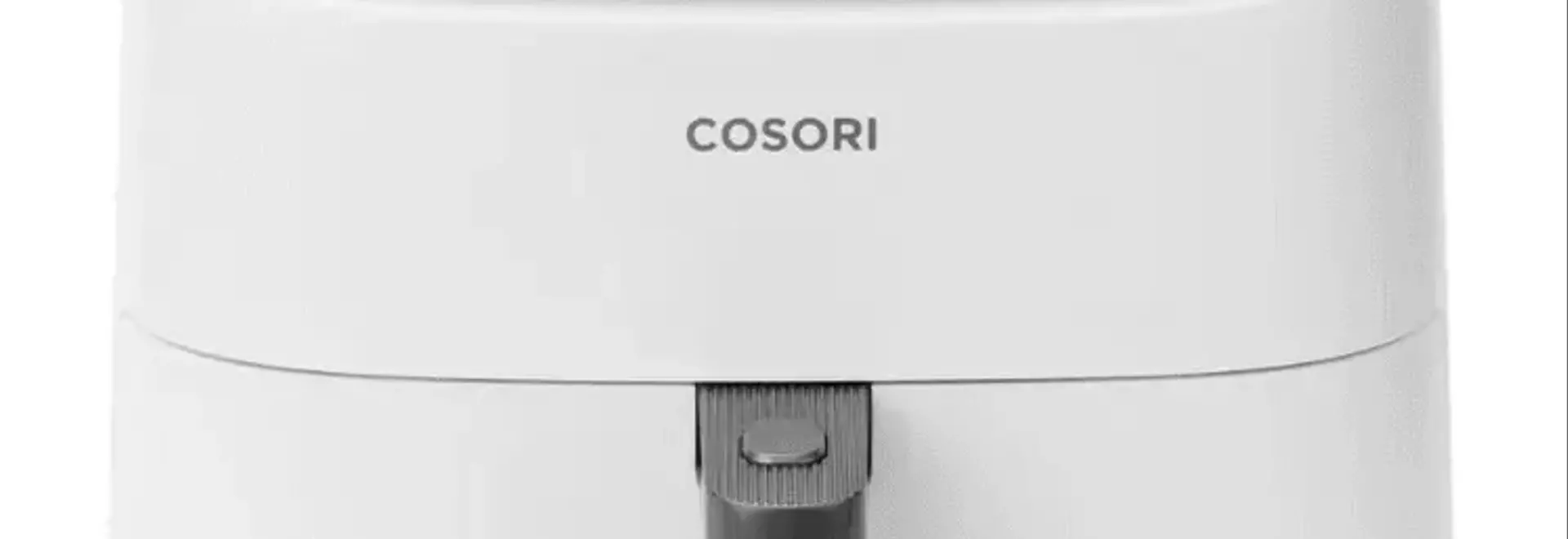 Top Air Fryers: An Expert Review of the Best Models for Crispy Results