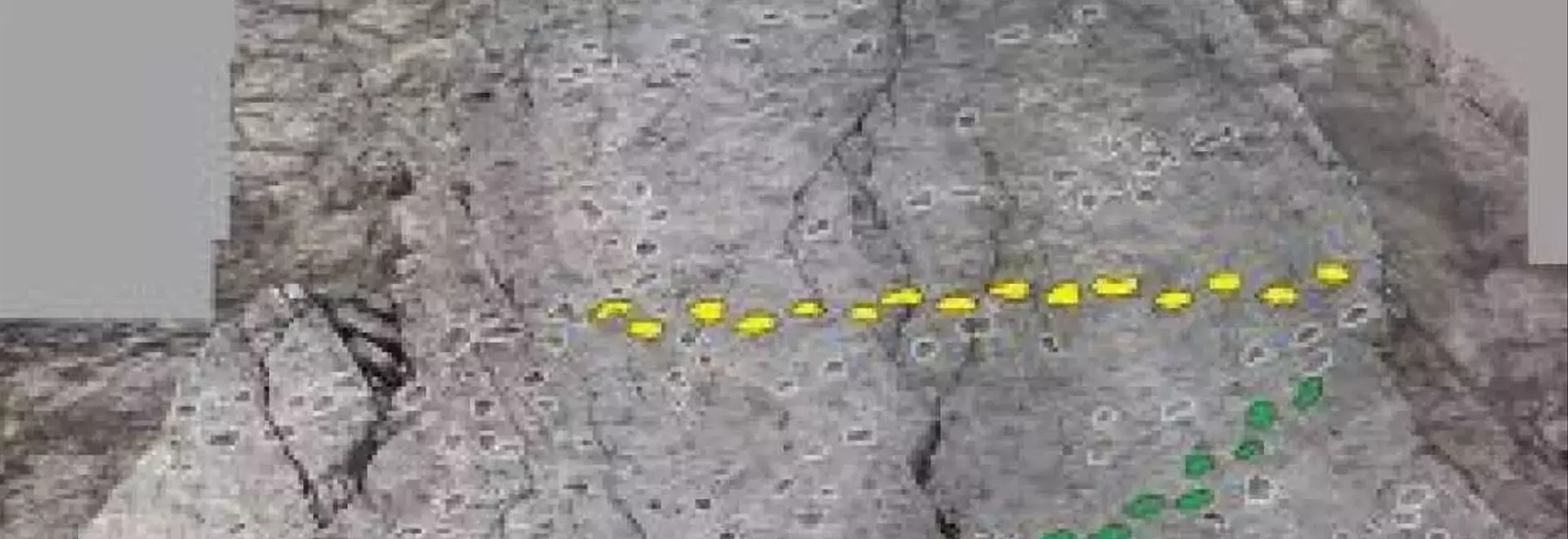 Ancient Dinosaur Tracks Uncovered Near Italian Winter Olympic Sites