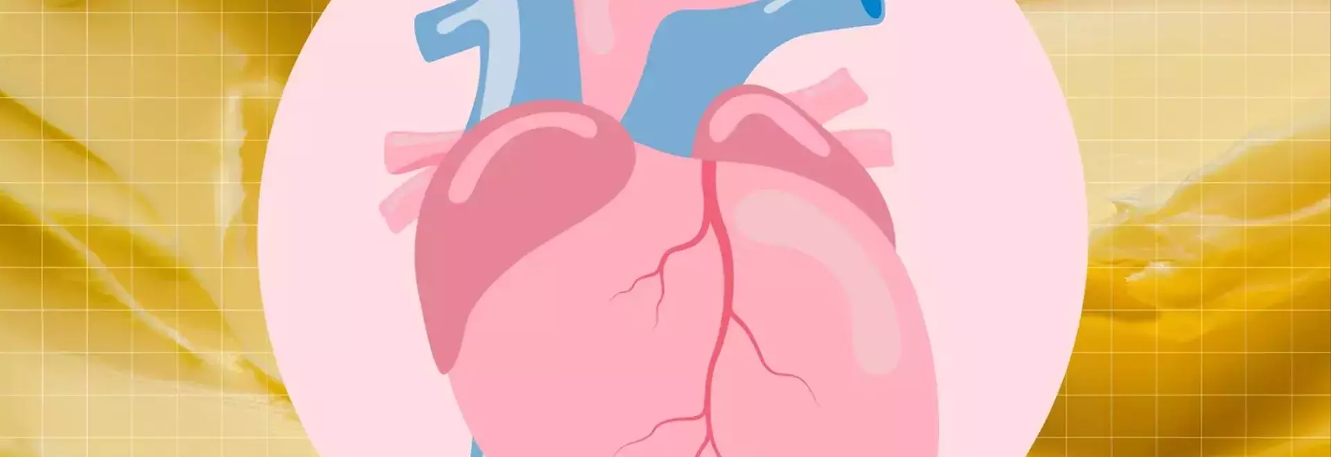 Exploring Butter's Impact on Cardiovascular Health: A Detailed Analysis