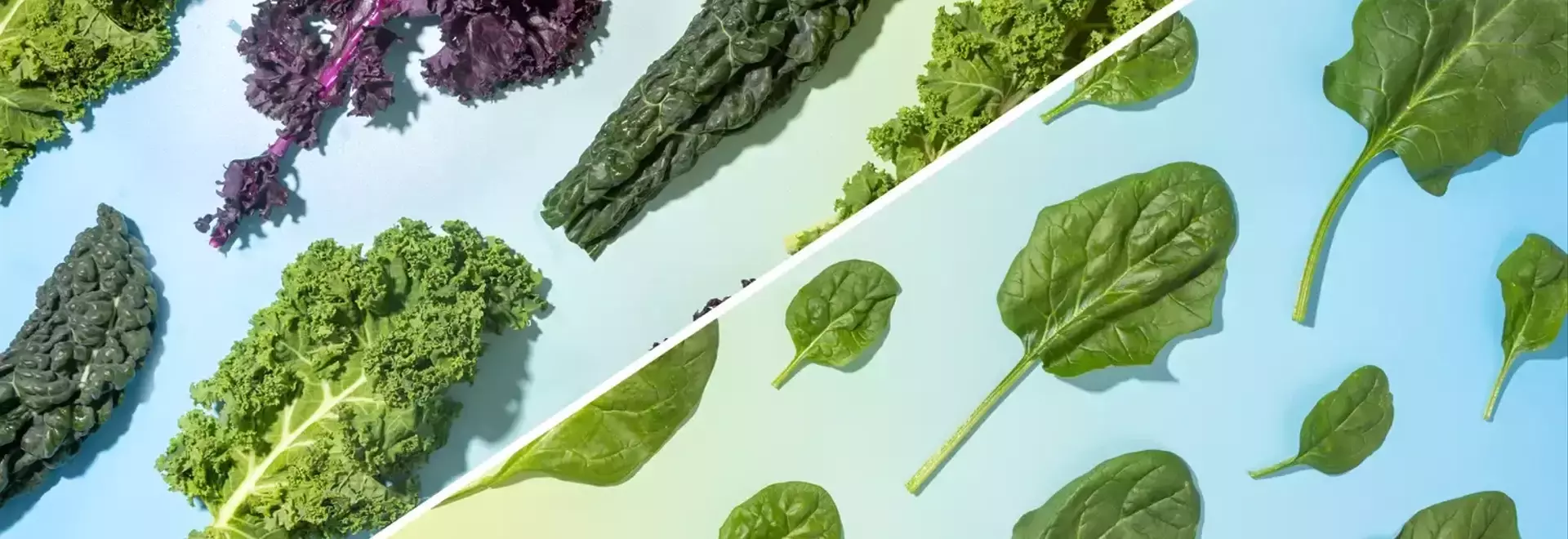Kale vs. Spinach: Which Green Reigns Supreme?