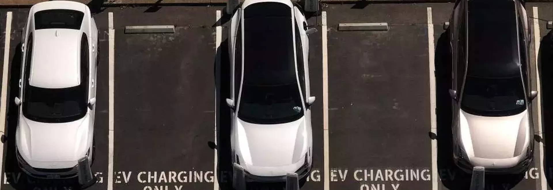 Turbulent Journey for Electric Vehicles in 2025: Challenges and Unexpected Resilience
