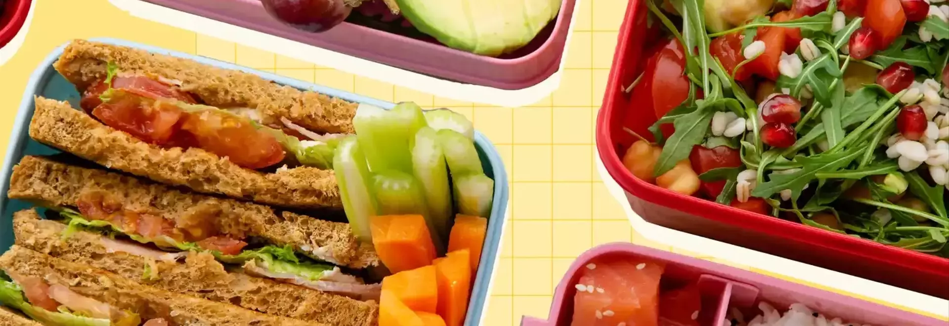 Expert Strategies for Effortless and Enjoyable Packed Lunches
