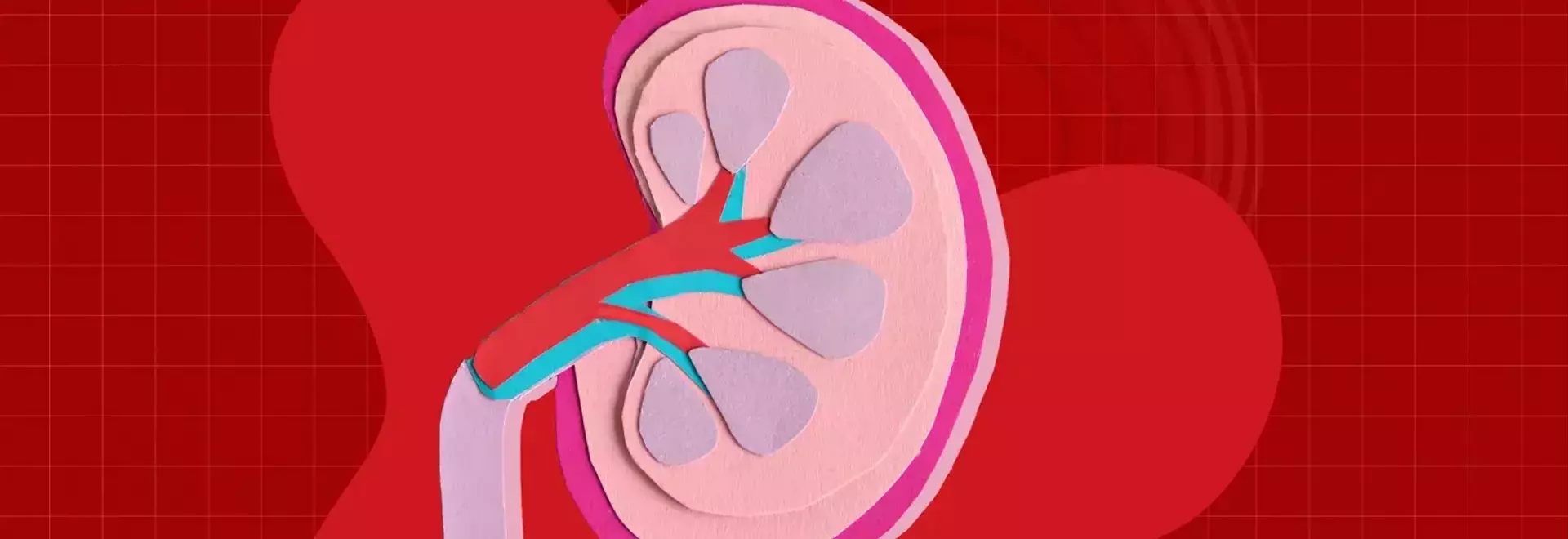 The Hidden Risk of Excessive Electrolyte Drink Consumption for Kidney Health