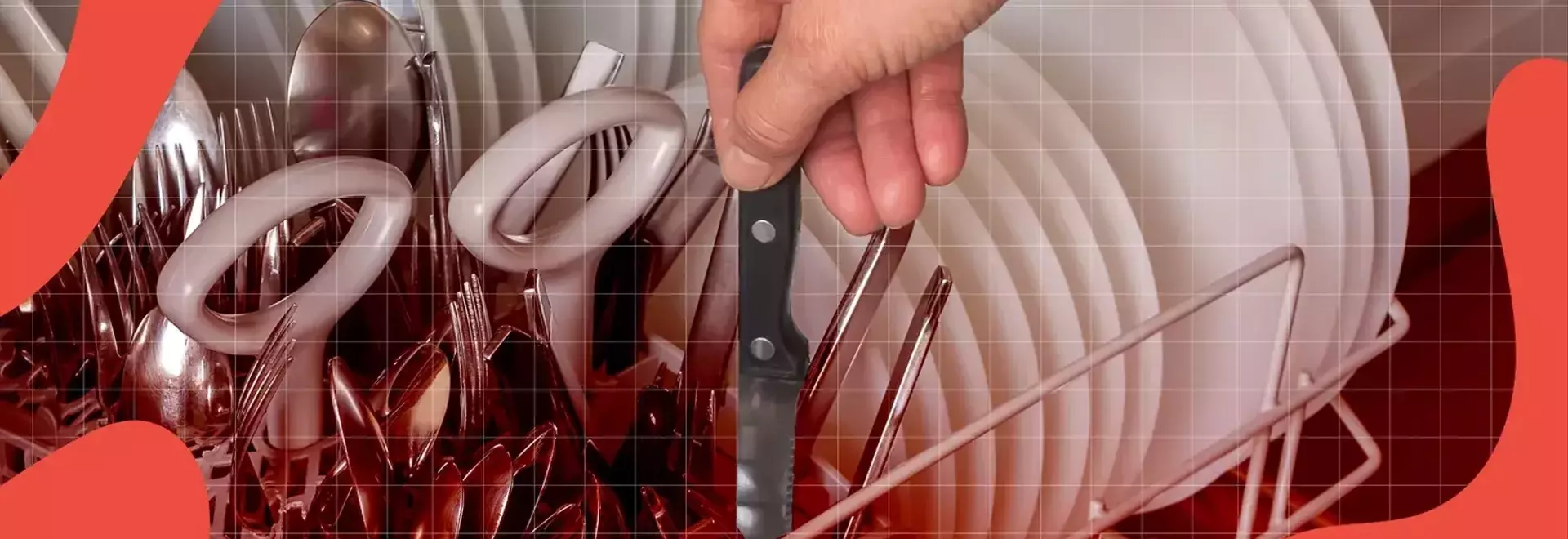 Mastering Knife Care: Common Mistakes and Expert Tips for Longevity
