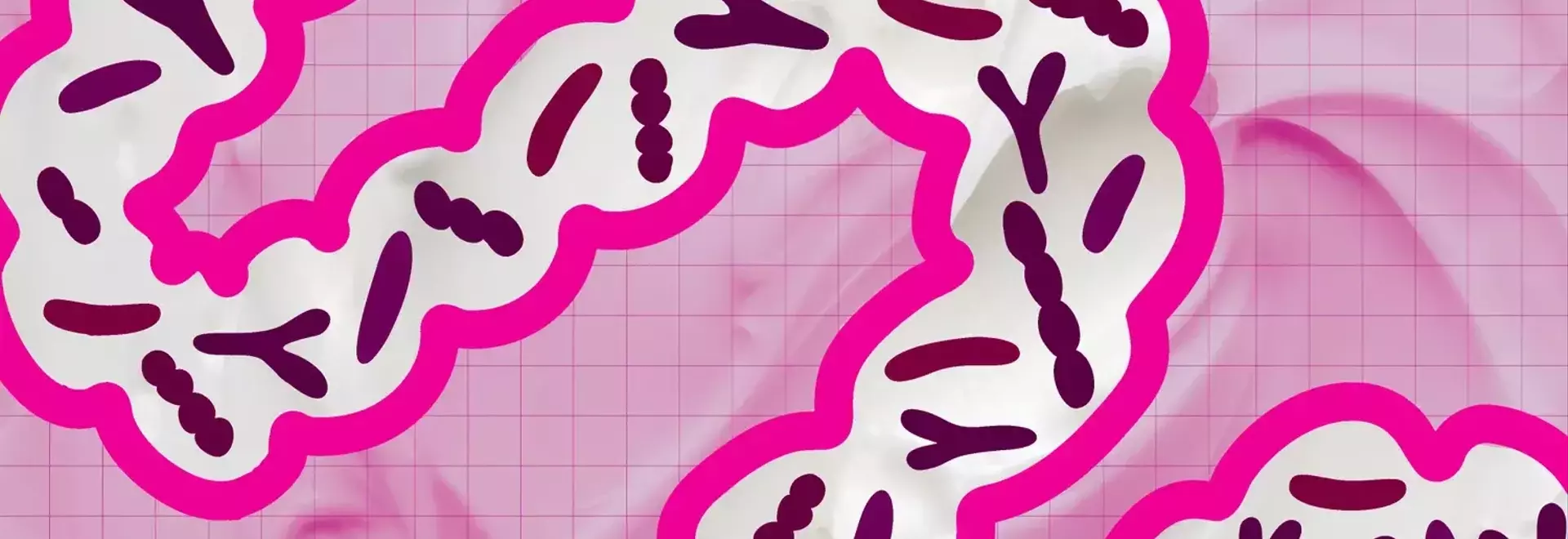 The Daily Impact of Yogurt on Gut Health