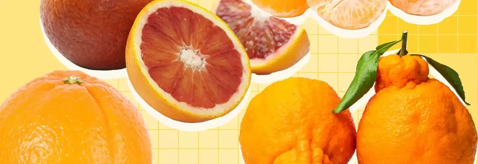 A Comprehensive Guide to Orange Varieties