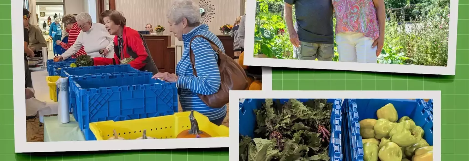 Cultivating Wellness: Senior Living Embraces Regenerative Agriculture