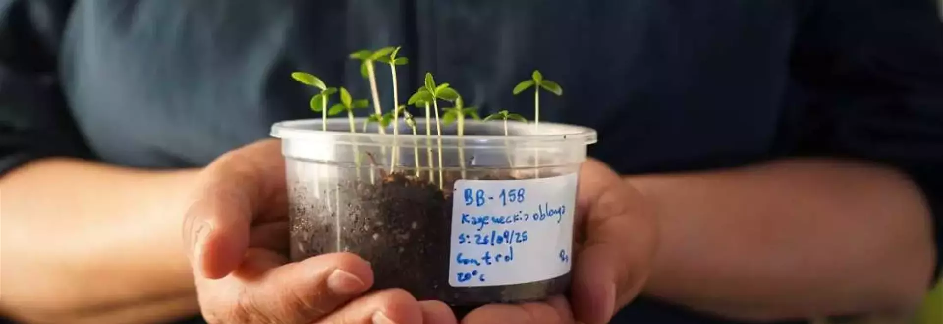 Chile's Desert Vault: Safeguarding Plant Diversity Amidst Climate Change