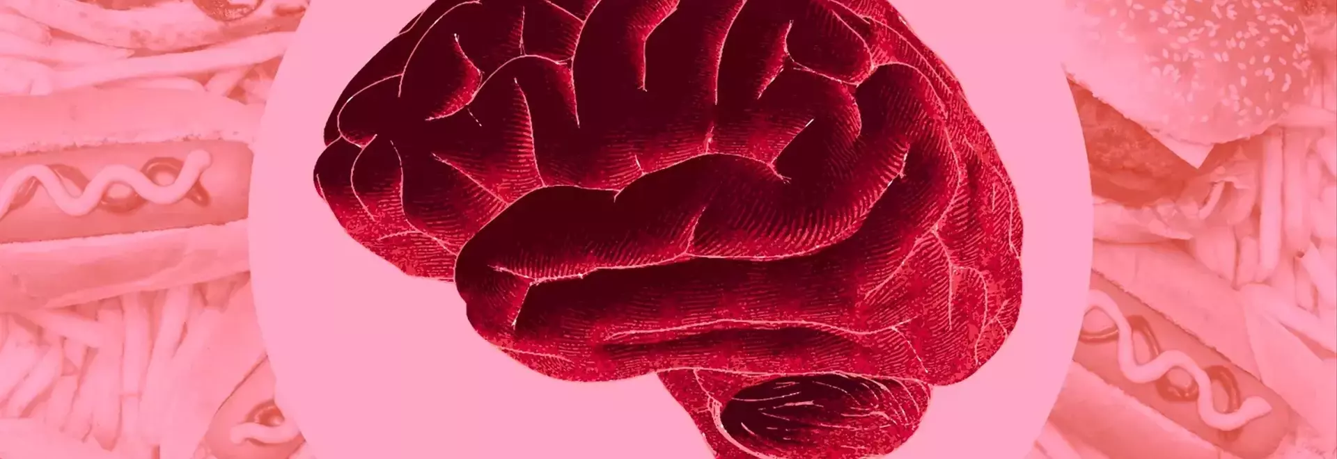 The Impact of Ultra-Processed Foods on Brain Health: A New Review