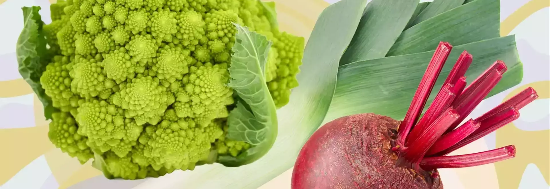 5 Anti-Inflammatory Vegetables for Optimal Health in February