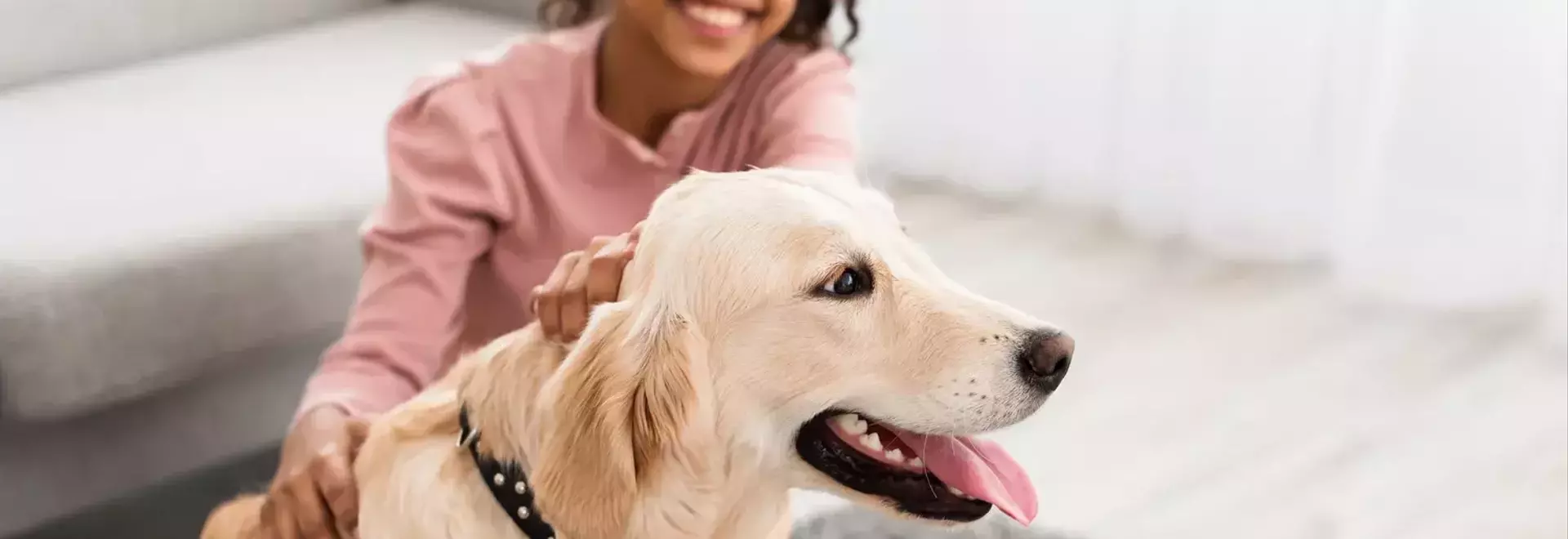 Choosing the Perfect Canine Companion for Families with Children