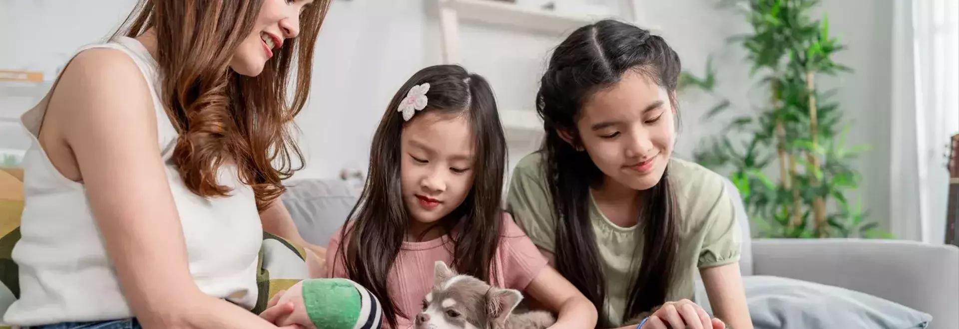 Evolving Parental Approaches: The 'Cat vs. Dog' Philosophy