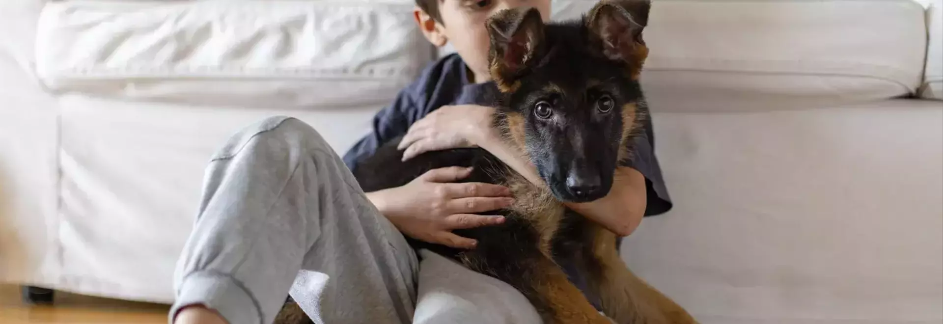 The Journey of Welcoming a Pet: Addressing a Child's Desire for Companionship