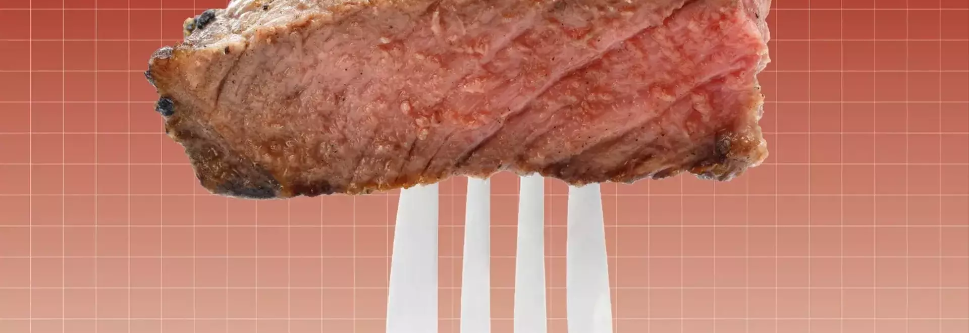 Understanding the Carnivore Diet: A Critical Review of Health Impacts