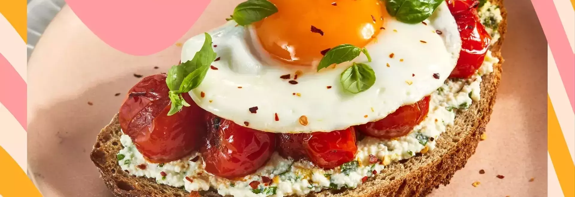 The Dash Rapid Egg Cooker: Your Solution for Effortless Egg Preparation
