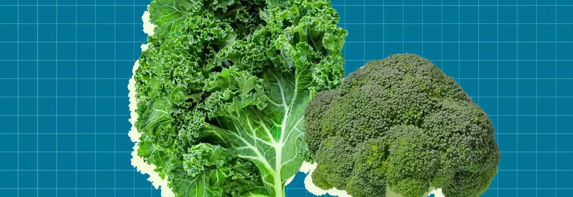 Top Winter Vegetables for a Mediterranean Diet