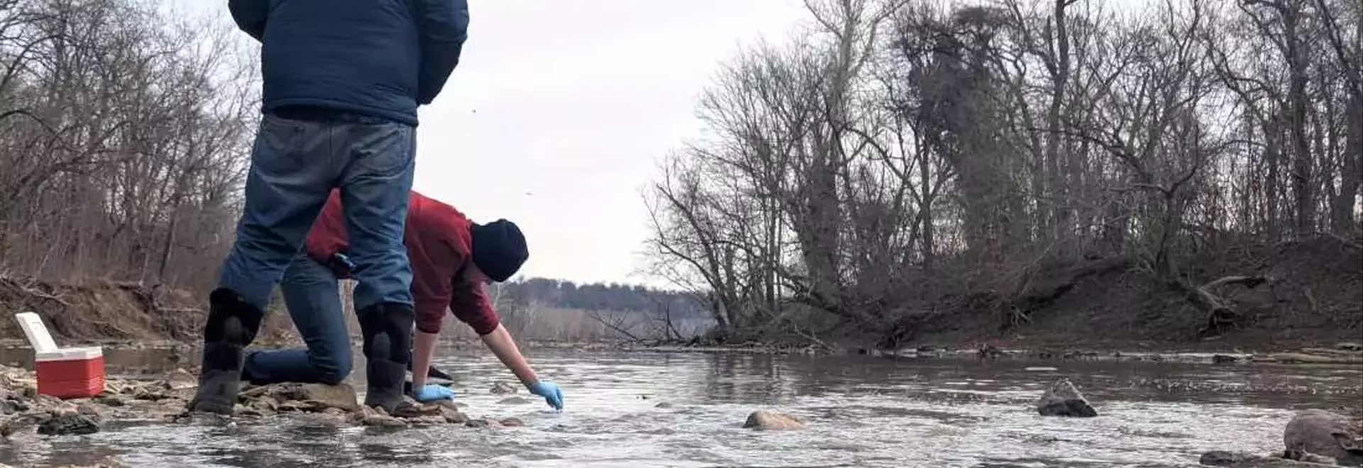 Environmental Crisis: Potomac River Suffers Massive Sewage Spill