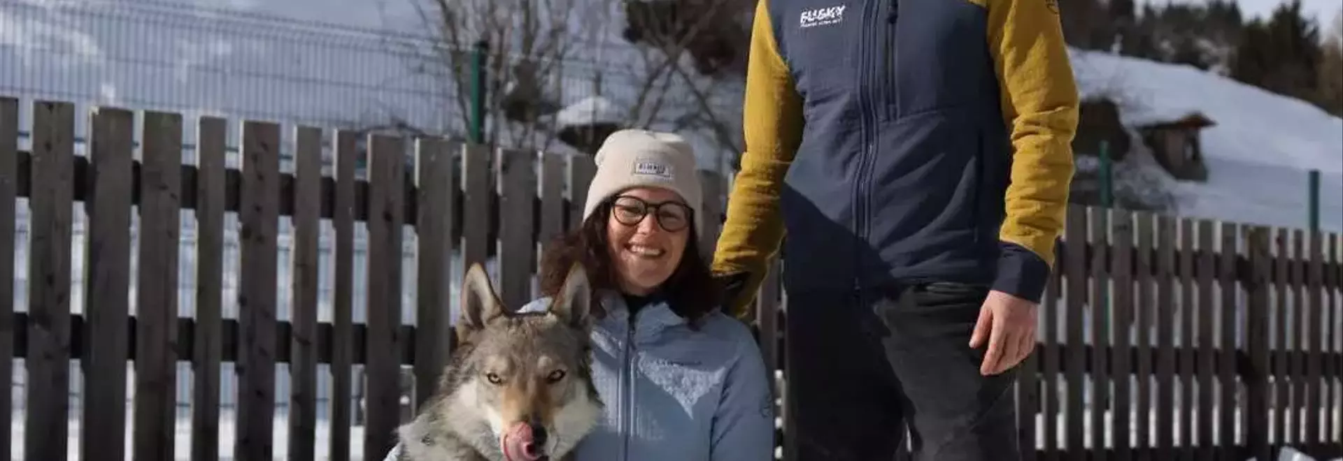 Nazgul, the Wolfdog, Becomes Unlikely Olympic Sensation in Italy