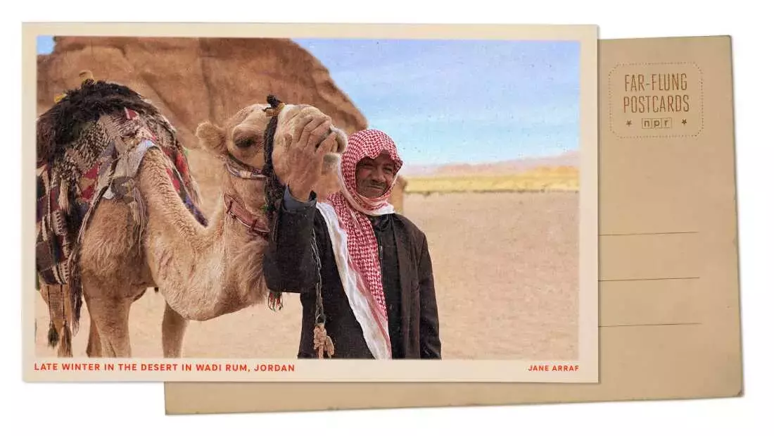 Wadi Rum Blooms: A Desert Transformed by Winter Rains